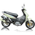 ZF110(VIII) BIZ MODEL 135CC MOTORBIKE, CHONGQING MOTORBIKE